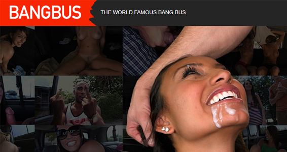 Bangbus review