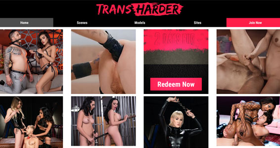 Excellent tranny porn site with membership for hardcore xxx scenes