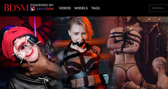 Best paid porn site for BDSM sex videos